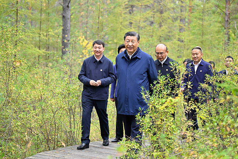 9月6日至8日，中共中央總書記、國家主席、中央軍委主席習(xí)近平在黑龍江考察。這是6日下午，習(xí)近平在大興安嶺地區(qū)漠河市漠河林場自然林區(qū)考察